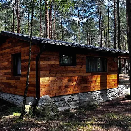 Wpadnij Do Lasu , Na Skalce * Ocypel