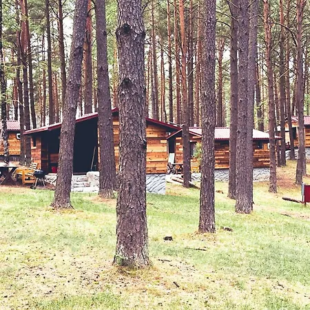 Wpadnij Do Lasu , Na Skalce *