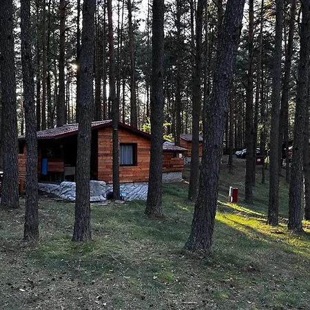 Wpadnij Do Lasu , Na Skalce Prázdninový dům