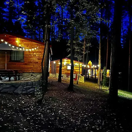 Wpadnij Do Lasu , Na Skalce Prázdninový dům