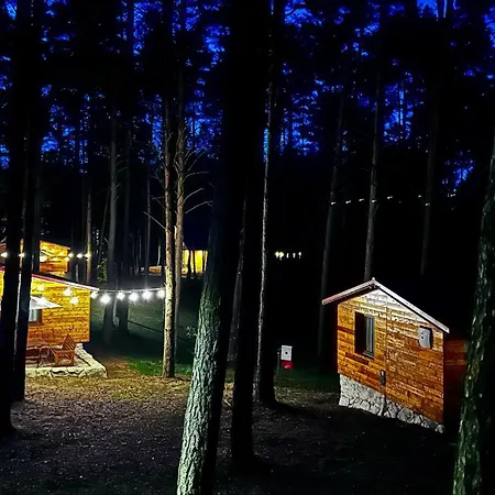 Wpadnij Do Lasu , Na Skalce * Ocypel