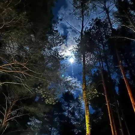 Wpadnij Do Lasu , Na Skalce Prázdninový dům Ocypel