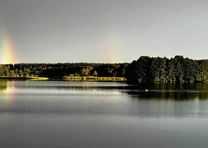 度假居 Wpadnij Do Lasu , Na Skalce