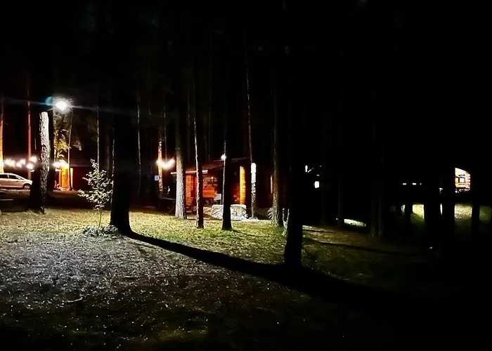 Wpadnij Do Lasu , Na Skalce *