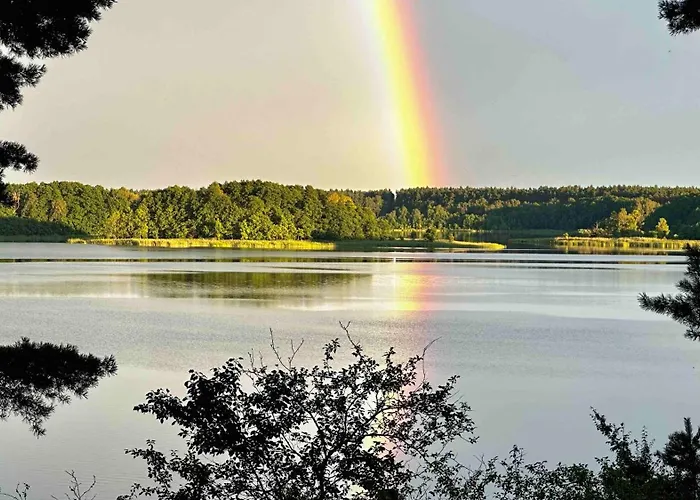 Wpadnij Do Lasu , Na Skalce
