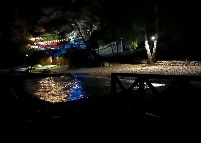 Wpadnij Do Lasu , Na Skalce