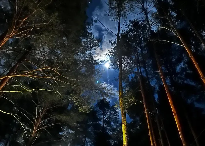 Wpadnij Do Lasu , Na Skalce 度假居 奥塞佩尔